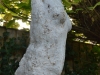 Verlangen 3